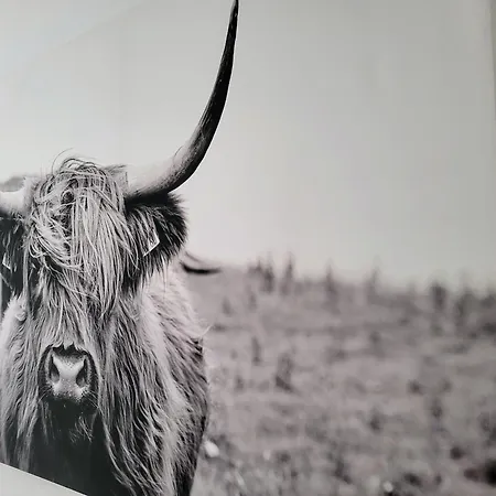 Apartament 2 Bedroom With A Pool *